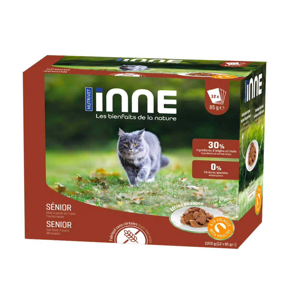 Freshness sachets for senior cats with poultry