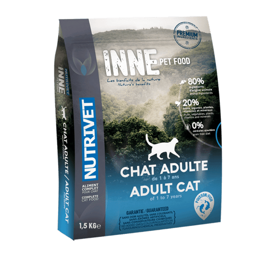 INNE Chat –  Chat Adulte au Poisson