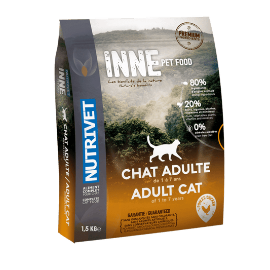 INNE Chat – Adulte au Poulet