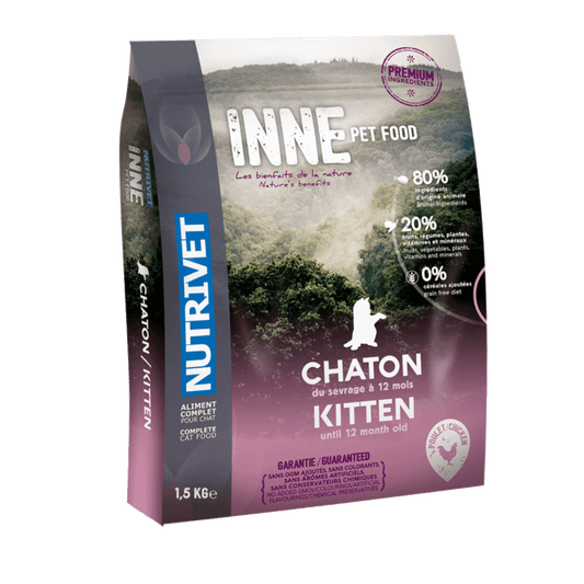 INNE Chat  – Chaton au Poulet