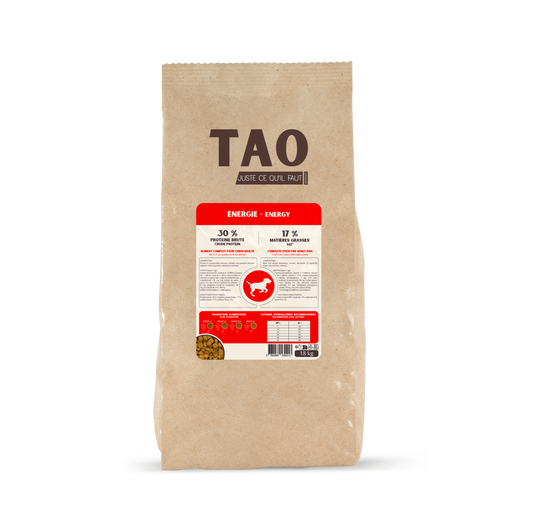 Nutrivet  Tao Energy – Chien Adulte